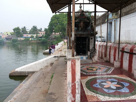 temple pond சிக்கல் சிங்காரவேலன் கோவில்|நாகப்பட்டினம்1